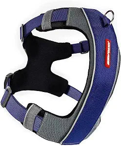 EzyDog X-Link Dog Harness  Reflective and Padded No Pull Dog Harness for Training and Everyday Walks with 2 Leash Attachment Points (Small, Blue)