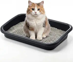 Uiifan 1 Pcs Low Entry Senior Cat Litter Box Pet Low Entry Litter Box for Senior Kitten Handicap Disabled Older Elderly Cats, Easy to Clean (Dark Gray,23.23 x 16.54 x 4.33 Inch)