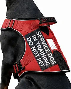 Service Dog in Training Vest, Reflective Do Not Pet Dog Harness with Handle and 6 Patches, Full Metal Buckles, for Large Dogs Training Walking