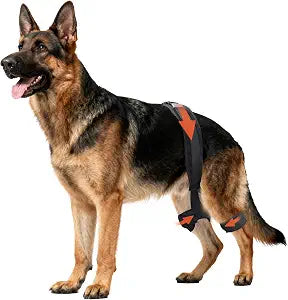 Dog Hip Brace for Hip Dysplasia, Adjustable Dog Hip Support Brace with Targeted Compression, Stabilizes Joints, Relieves Pain from Arthritis, XL