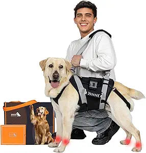 Dog Lift Harness for Large Dogs,Full Body Dog Sling Carrier with Handle,for Up Stair/Back Legs Support/Dogs Joint Injuries/Arthritis (Black, XX-Large)
