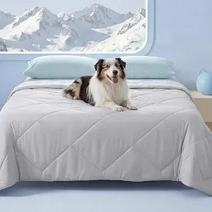 Luciphia Premium Cooling Dog Blanket for Small Medium Dogs Q-max>0.4 Washable Self-Cooling Cat Pet Mat Puppy Breathble Calming Throw for Beds Couches(Light Grey,60x80 inches)