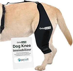 Ortocanis Knee Immobilizer for Dogs with Aluminum Splints  Right Rear Leg Support for Patella Luxation, Ligament Injury & Post-Surgery Dog Knee Brace Stabilization  Size: XXL (4348 cm)
