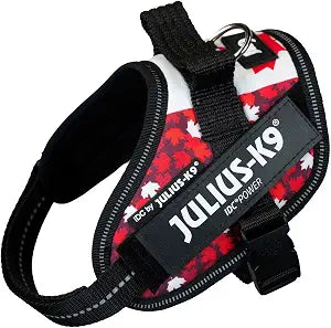Julius-K9, 16IDC-CND-M, IDC Powerharness, Dog Harness, Size: Small, Canada Flag (S)