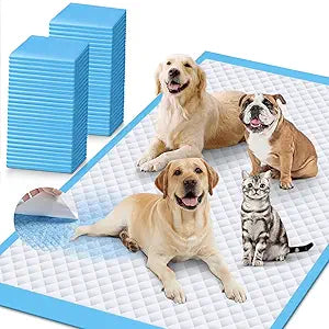 iweepet Enormous 37"x 54" Dog Training Potty Pads, Super Absorbent & Leak-Proof 6 Layers Puppy Pads 30 Counts, Disposable Dog Pee Pads Extra Large for Puppy, Surgery, Older, Cats, Rabbits