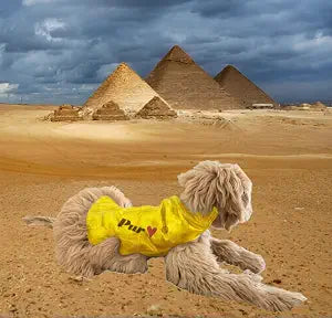 JANOO - Cooling Vest Gel Pack for Dogs (Yellow, X-Small)