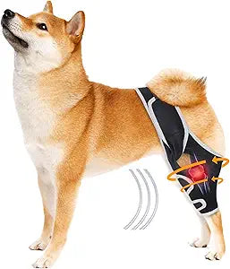 Dog Knee Brace for Acl Injury Recovery, Adjustable, Provides Stable Support for Ligament Strain and Joint Pain, Fits Front or Rear Leg, Ideal for Rehab and Everyday Use, Durable, Comfortable, M