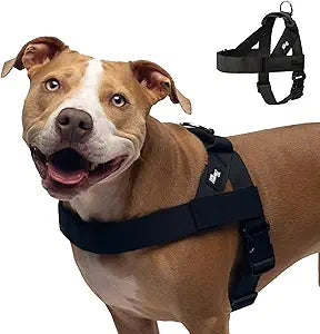 Dog Friendly Co. Dog Harness | Chafe Resistant Webbing, Adjustable Neck & Chest, and Heavy Duty D-Ring | Sturdy, Comfortable, Easy to Use | Black, Size S