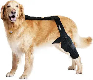 Dog Knee Brace for Torn ACL Hind Leg, Canine Leg Support for ACL/CCL & Cruciate Ligament Conditions, Arthritis Support, Adjustable & Durable, Black, Size M