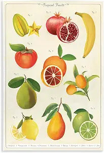 Vintage Tropical Fruit Studies, 13 x 19 Inch Mounted Print on Wall Plaque