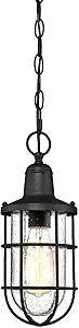 Westinghouse 6334800 Crestview One-Light Outdoor Pendant, Textured Black Finish with Clear Seeded Glass, Oil Rubbed Bronze