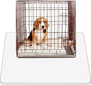 Cinnvoice Under Dog Crate Mat PVC Under Cage Mat Pet Floor Protector 48 x 48 Inch Waterproof Bird Cage Liner Washable Dog Kennel Puppy Pee Training Water Resistant Pad to Protect Floors, Clear