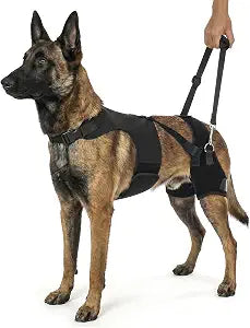 Supet Dog Hip Dysplasia Brace with Back Lift Strap, Adjustable Hip Support & Pain Relief for Dog, Hind Leg Stabilizer Harness for Canine Hip Dysplasia, Arthritis, Degenerative Myelopathy, XL