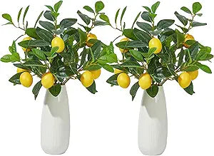 Heleze 6 Pcs Artificial Lemons Tree Branches - Faux Greenery Stems Realistic Lemon Branch with Lifelike Leaves Fake Lemon Plant for Home, Dining Table, Kitchen Decor 18 Inch