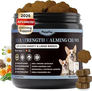 Calming Chews for Dogs - Advanced Calming Treats for Dogs Anxiety, Stress, Separation, & Thunder, Relaxation with Ashwagandha & L-Theanine, Non-Drowsy Alternative to Melatonin, Chicken Flavor, 90Ct