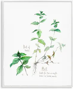 Mint Sprigs Herb Garden Watercolor, 11 x 14 Inch Framed Gicle Print