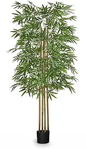 Maia Shop 5ft Artificial Bamboo Tree Plant for House, Apartment or Office  Realistic Fake Indoor Plants for Living Room, Bedroom, Bathroom, Entryway or Patio  Faux Greenery for Home Dcor