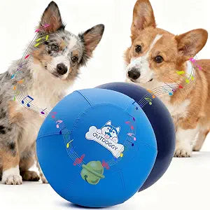 Herding Ball for Dogs - 14Inch Heavy Duty Dual-Layer Herding Ball for Australian Shepherds, Border Collies, Corgis, Medium & Small Dogs | Indoor/Outdoor Play