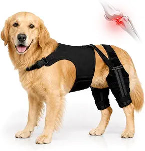 Dog Knee Brace for Torn ACL Hind Legs, Dual Hind Leg Brace with 4 Metal Stabilizers & Stable Structure, Adjustable Dog Leg Support Relieves Luxating Patella, Arthritis & CCL Tear Pain for Large Dogs