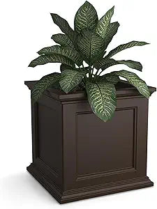 Mayne Fairfield 20-Inch Square Planter  Self-Watering, Weather-Resistant Planter for Flowers  Durable Outdoor Design for Patio, Porch, or Entryway, Espresso