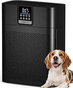 Air Purifier for Home Large Rooms up to 2180 Sq Ft, DBFIT Air Cleaner with Washable Nylon Pre-Filter & Air Quality Indicator, Odor & Smoke Reduction for Pets, Bedroom & Living Room AP2410 (Black)