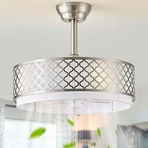 20" Silver Fandelier Ceiling Fan with Lights, Caged Boho Ceiling Fan with Light Remote Control, Rattan with 6 Speeds for Bedroom, Nursery, Living Room