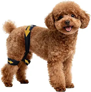Aeegee Dog Hip Orthotics Brace, Dog Leg Brace for Hip Dysplasia, Dog Hip Brace for Pain Relief, Prevents Hip Joint Issues, Back Leg limping (XL)