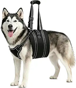 NOYAL Dog Lift Harness Sling - Adjustable Pet Carrier for Senior Dogs with Arthritis Joint Injuries, Emergency Support Rehabilitation Aid for Nail Trimming, Stairs Assistance
