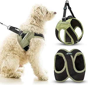 Gooby Escape Free Easy Fit X Step in Dog Harness - Portland Green, Large