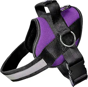 Joyride Basic Essential Dog Harness 1.0 - Small, Medium, Large Dogs, No-Pull Pet Vest with 3 Side Rings for Leash Placement, Adjustable for Training (Purple Majesty, 2XL)