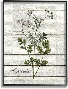 Vintage Herb Kitchen Dining Collage, 16 x 20 Inch Framed Gicle Print