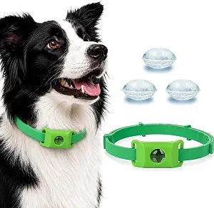Natural Scent Dog Collar with Pendant  Adjustable Water Resistant Plant-Based Fragrance Accessory for Small to Large Dogs  Lightweight & Comfortable(Green)