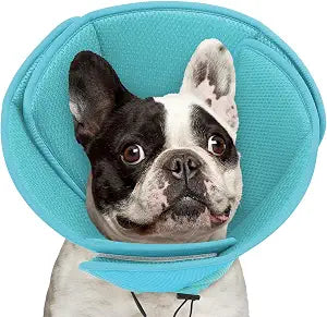 Queenmore Soft Dog Cone Collar,Comfortable Cones for Small Dogs/Cat to Stop Licking After Surgery, Comfy Elizabethan Collars, Neuter Recovery Ecollars of Shame Alternatives,LightBlue,M