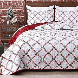 Likiyol 3 Piece Christmas Quilts Queen Size Checkered Quilt Bedding Set,Red