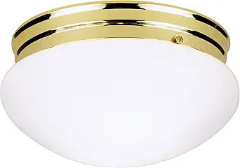 Westinghouse 66609 2BULB PB Ceiling Fixture Lighting, Two Polished Brass
