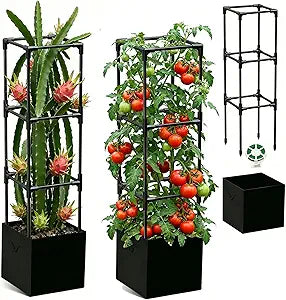 2PCS Dragon Fruit Trellis for Climbing Plants Indoor Outdoor, Heavy Duty Metal Adjustable Vertical Garden Support for Indoor Outdoor Potted Plants, Tomato, Cactus, Roses,Vines(12 * 12 * 47inch,2PC)