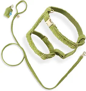 WLK1002B-4SET Teddy Medium Boucl Adjustable H Harness and Leash Walk Set with Poop Bag Pouch, Citron