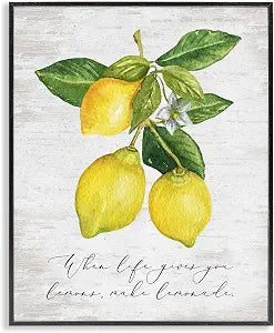 Lemon Phrase Kitchen, 16 x 20 Inch Framed Gicle Print