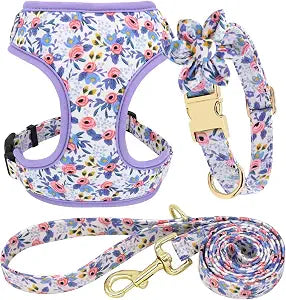 Beirui Cute Girl Dog Collars, Harnesses & Leashes Set - Adjustable Dog Collar and Leash Set with Flower - Soft Mesh Dog Vest Harness for Puppies Small Medium Dogs (Blue,S)