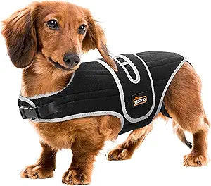 Dog Back Brace for IVDD, Full Support Spinal Brace with Metal Stays for Disc Disease, Pain Relief, Post-Surgery Rehab, Adjustable Support Harness for Medium Dogs, M