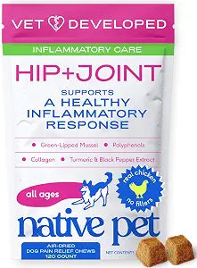 Native Pet Inflammatory Care - Pain Relief for Dogs - Green-Lipped Mussel, Turmeric & Collagen for Dogs - Hip and Joint Supplement Supports Healthy Inflammatory Response & Joint Comfort - 120 Chews