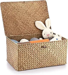 Hipiwe Wicker Shelf Baskets Bin with Lid, Handwoven Seagrass Basket Storage Bins Rectangular Household Basket Boxes for Shelf Wardrobe Home Organizer, Coffee X-Large