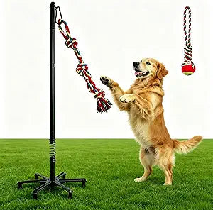 Tether Tug Outdoor Dog Toy with Chew Rope,Spring Pole for Large Dogs,Tether Interactive Dog Tug Toy,Adjustable Height,Extra-Stable Base,Outdoor Tug of War Dog Toy in Yards/Parks/Lawns