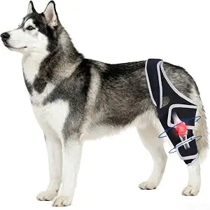 Dog Knee Brace for Torn Acl Hind Leg with Metal Stabilizer- Keeps The Joint Warm and Stable, Adjustable Dog Hind Leg Brace for Small to Large Dog,Size XL.