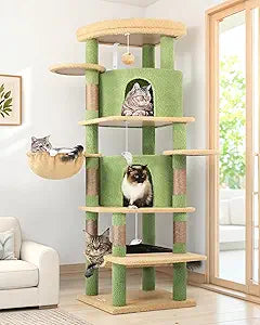Globlazer Cactus Corner Cat Tree Tower for Large Cat, 66inch Tall Large Cat Tree Condo for Multiple Indoor Cats with 6 Scratching Posts, 2 Spacious Cat Condos, Soft Hammock, Hanging Basket, C66, Green