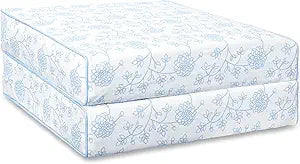 Hofdeco Premium Grandmillennial Coastal Hampton Patio Indoor Outdoor Seat Cushion Cover Only Set of 2, 20"x20"x4" Water Repellent for Backyard, Couch, Baby Blue Print Dahlia Floral