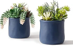 Artificial Succulent in Ceramic Pots, 2 Packs Large Faux Fake Plants Navy Blue for Desk,Office, Bedroom, Living Room, Bathroom Office Shelf Home Dcor