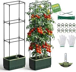 2Pack Raised Garden Bed Tomato Planter with Trellis, 52" Self Watering Tomato Planter with Water Level Indicator, Larger Rectangular Tomato Cages for Indoor & Outdoor Climbing Vegetable and Plants (2)
