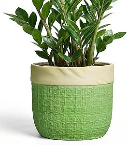 Ceramic Pots for Plants - 9.8 Inch Planter for Indoor Outdoor Plants, Ceramic Planter with Drainage Hole and Plug, Boho Decorative Flower Pot, Home Patio Decor, Plant Lover Gifts, Green
