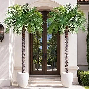 6ft Artificial Phoenix Palm Tree, Faux Coconut Silk Tropical Fake Palm Plant for Indoor Outdoor Home Office Patio Bathroom Pool Coastal Decor(Set of 2)